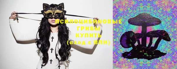ГАЛЛЮЦИНОГЕННЫЕ ГРИБЫ Ладушкин