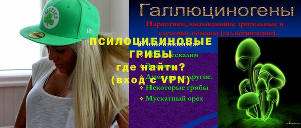 ГАЛЛЮЦИНОГЕННЫЕ ГРИБЫ Ладушкин