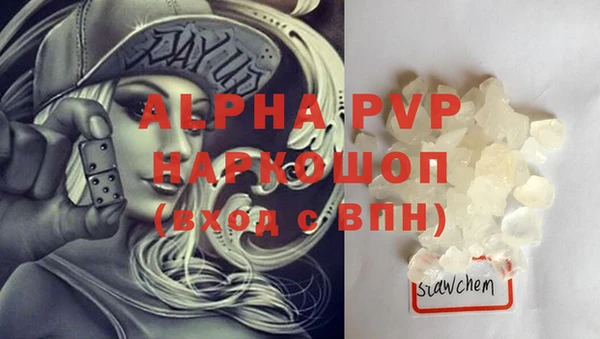 ГАЛЛЮЦИНОГЕННЫЕ ГРИБЫ Ладушкин